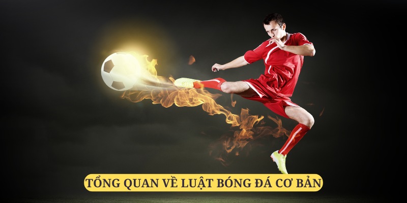 Luật bóng đá cơ bản là điều mà các cược thủ nên tìm hiểu tại Nhà Cái Uy Tín